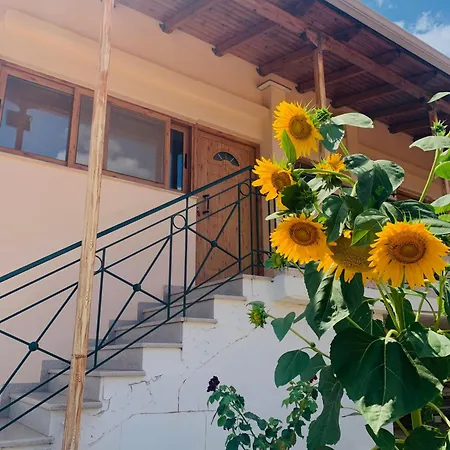 Bokas Exotic House Apartment